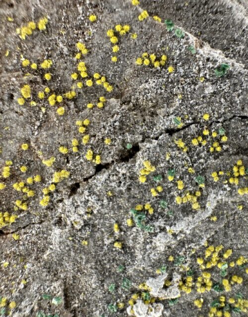 Tyuyamunite, Metazeunerite: Qinglong Mine, Dachang, Qinglong County, Qianxinan, Guizhou, China