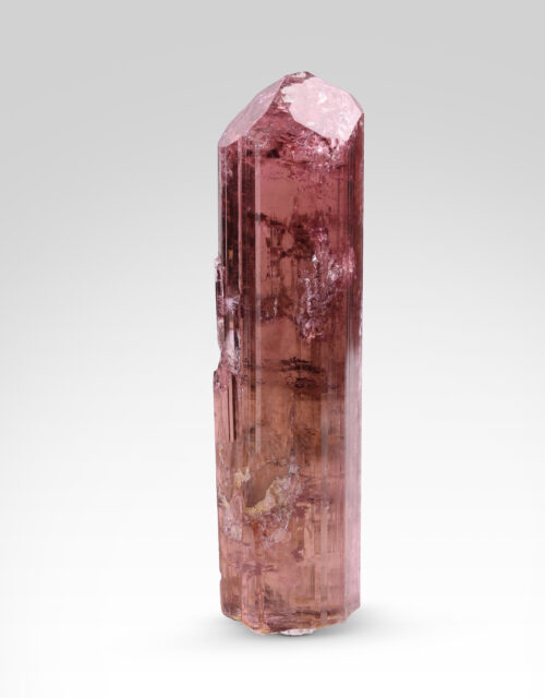 Elbaite Tourmaline: Rubaya, Bahunde, Masisi Territory, North Kivu, DR Congo