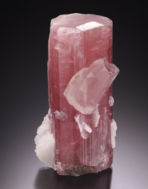 Elbaite Tourmaline, Quartz: Himalaya mine, Mesa Grande, San Diego County, California USA