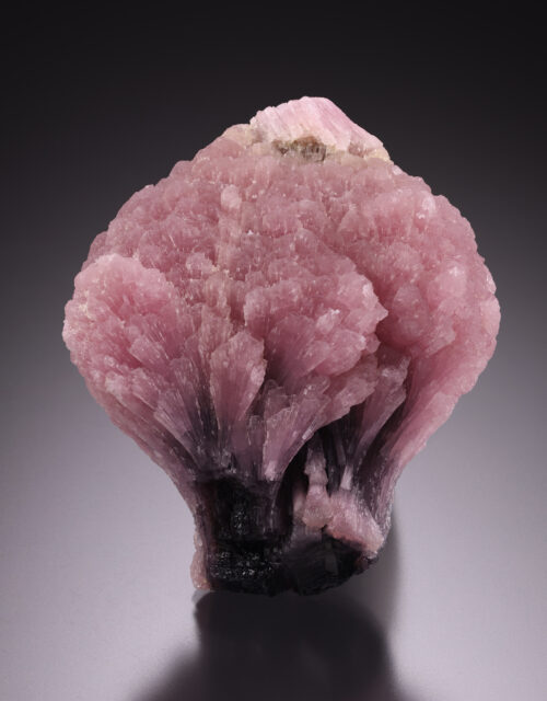 Elbaite Tourmaline "Mushroom": Palelni mine, Khetchel village, Molo Quarter, Momeik Township, Shan State, Myanmar