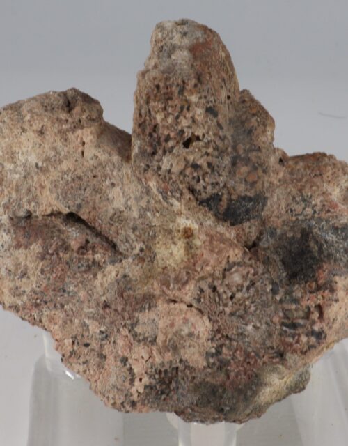 Thorite-(Fe): Kemp Prospect, Cardill Township, Highlands East Township, Haliburton County, Ontario, Canada
