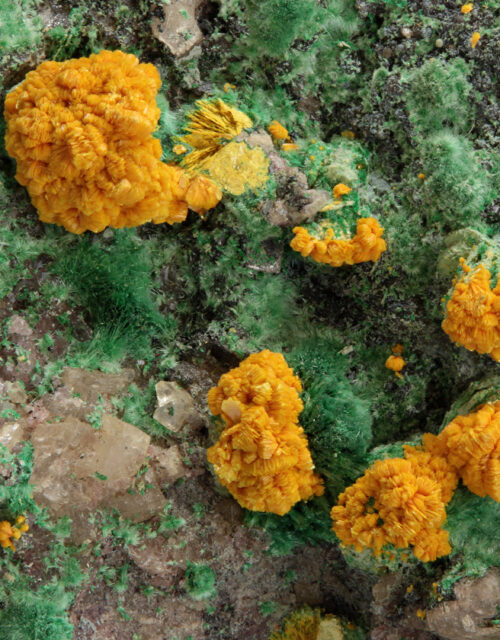 Metatyuyamunite, Malachite: Mashamba West Mine, Sicomines copper-cobalt project, Mutshatsha, Lualaba, DR Congo