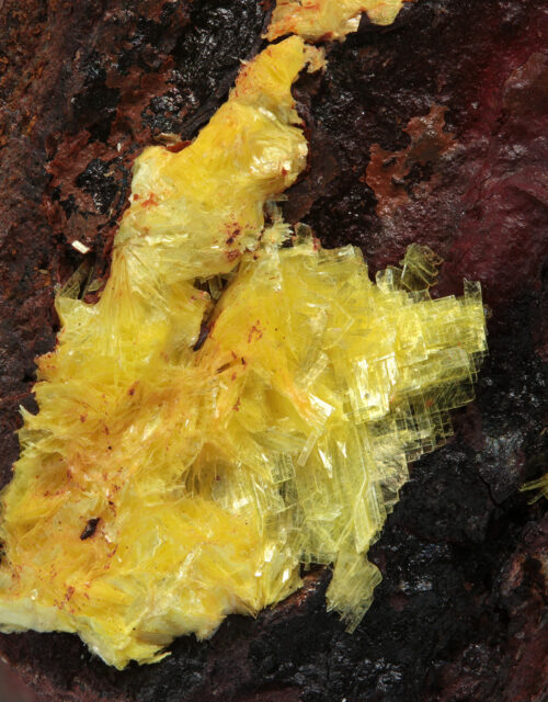 Sabugalite: El Pedregal Mine, La Haba, Badajoz, Extremadura, Spain