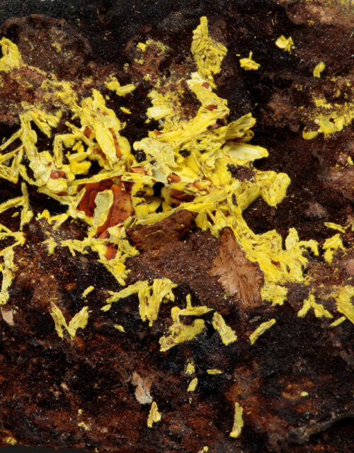 Phosphuranylite: La Faye Mine, Grury, Charolles, Saône-et-Loire, Bourgogne-Franche-Comté, France