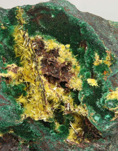 Uranophane, Malachite, Digenite: Musonoi Mine, Kolwezi, Mutshatsha, Lualaba, DR Congo