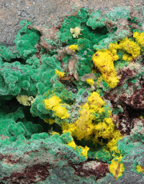 Schoepite, Rutherfordine, Studtite, Malachite, Digenite: Musonoi Mine, Kolwezi, Mutshatsha, Lualaba, DR Congo