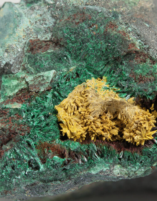 Schoepite, Rutherfordine, Malachite, Digenite: Musonoi Mine, Kolwezi, Mutshatsha, Lualaba, DR Congo