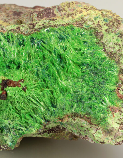 Cuprosklodowskite, Malachite: Musonoi Mine, Kolwezi, Mutshatsha, Lualaba, DR Congo
