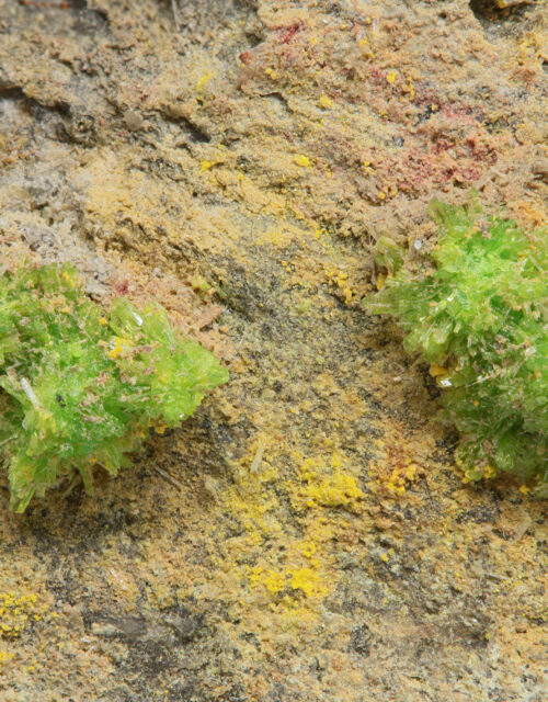 Johannite: Svornost Mine, Jáchymov, Karlovy Vary District, Karlovy Vary Region, Czech Republic