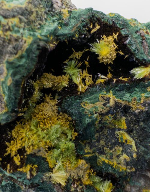 Schoepite ps. Rutherfordine, Cuprosklodowskite, Uranophane: Musonoi Mine, Kolwezi, Mutshatsha, Lualaba, DR Congo