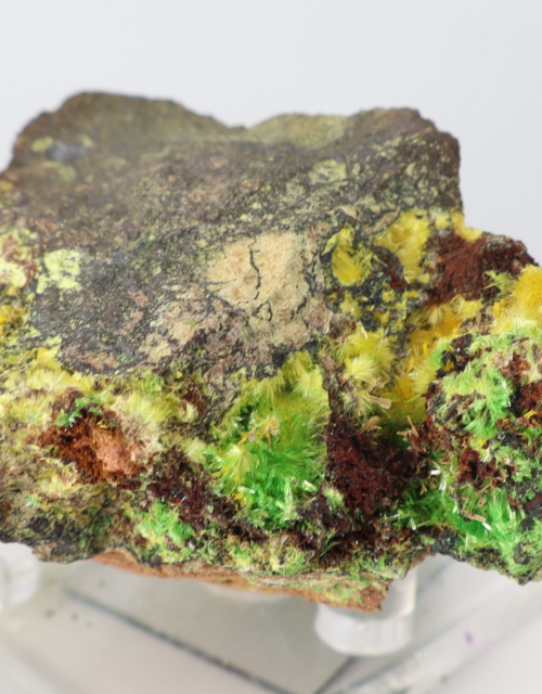 Uranophane, Rutherfordine, Schoepite: Musonoi Mine, Kolwezi, Mutshatsha, Lualaba, DR Congo