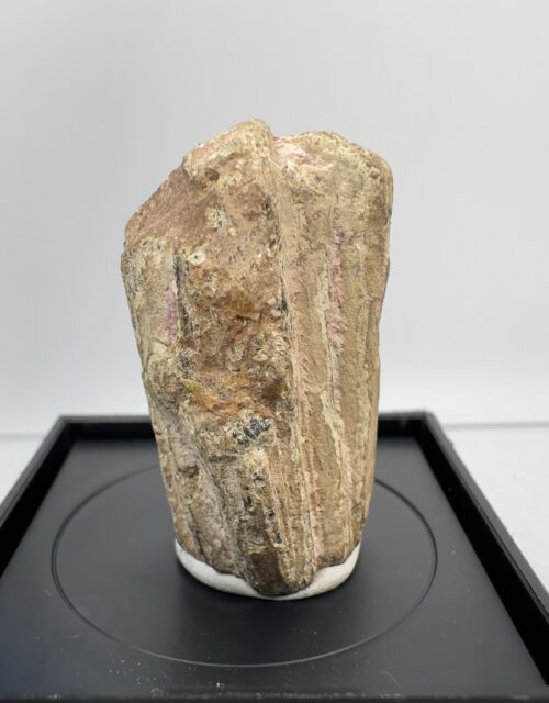 Euxenite-(Y): Ampangabé pegmatite, Miandrarivo, Faratsiho, Vakinankarata, Madgascar