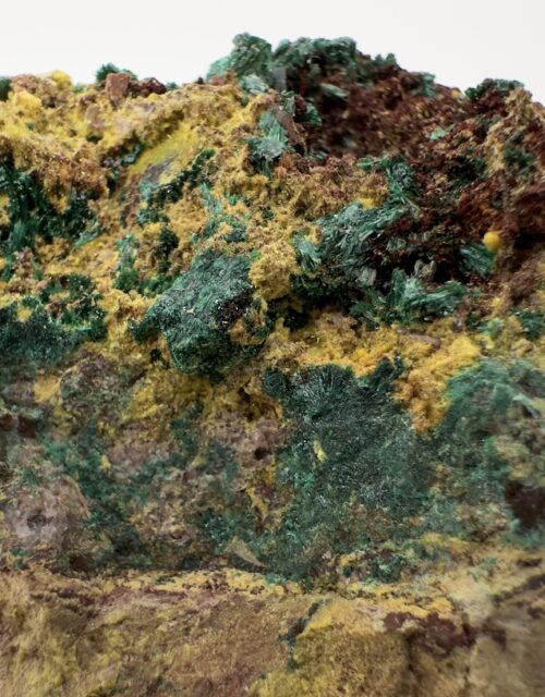 Uranophane, Metatorbernite, Kasolite, Cuprosklodowskite: Musonoi Mine, Kolwezi, Mutshatsha, Lualaba, DR Congo