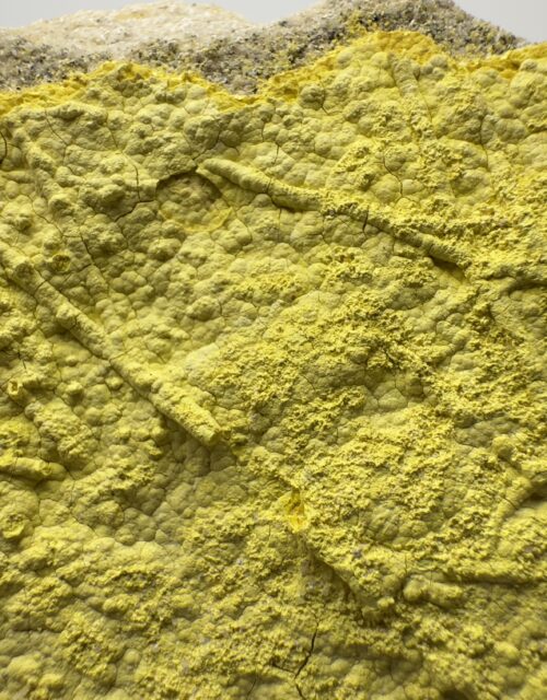 Tyuyamunite: Parco #7 Mine, Parco mines, Yellow Car Mesa, Thompsons Mining District, Grand County, Utah, USA