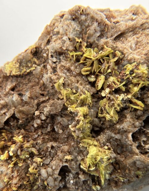 Meta-Autunite: Falkenstein, Vogtlandkreis, Saxony, Germany