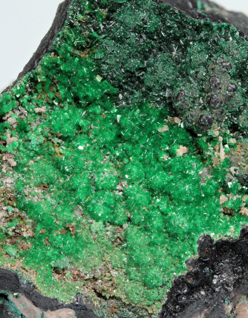 Metatorbernite: Musonoi Mine, Kolwezi, Mutshatsha, Lualaba, DR Congo