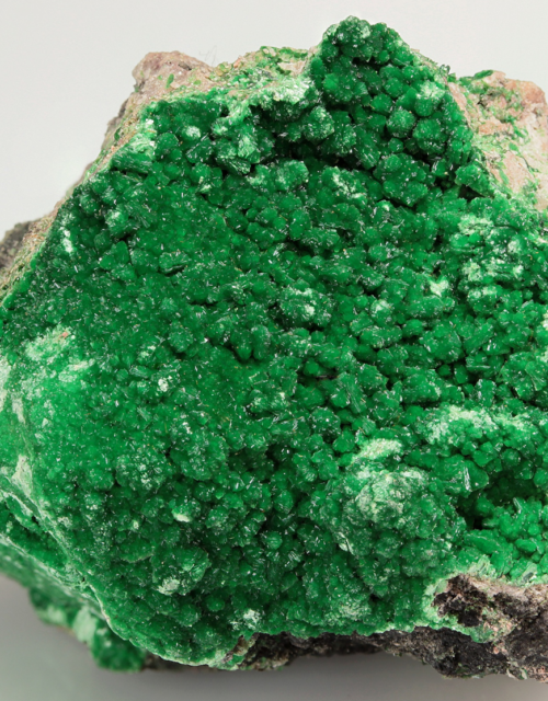 Metatorbernite: Musonoi Mine, Kolwezi, Mutshatsha, Lualaba, DR Congo