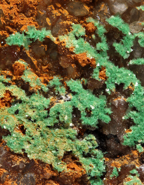 Metazeunerite: Zinnwald-Cínovec mining region, Ore Mountains, Europe