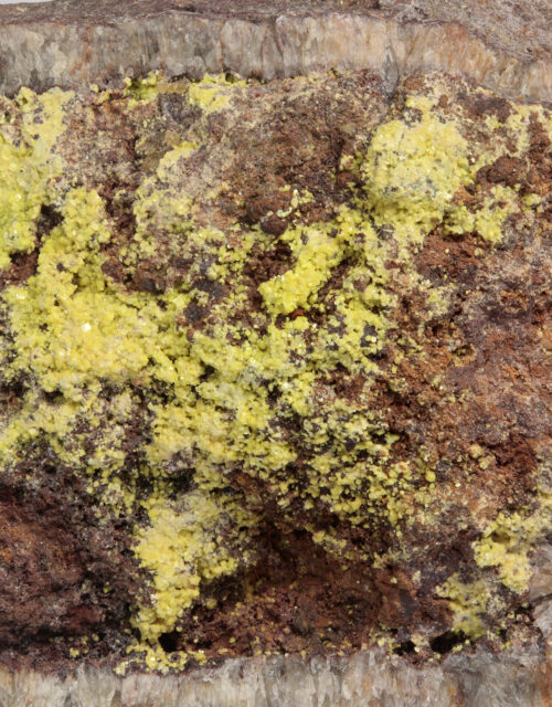Metauranocircite: Bergen, Vogtlandkreis, Saxony, Germany