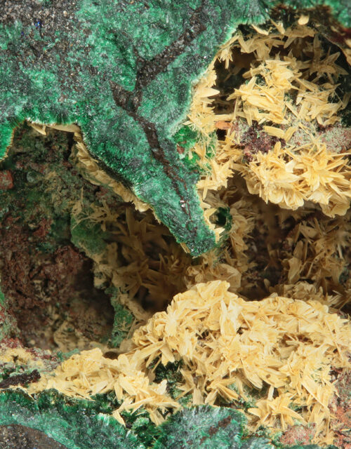 Schoepite ps. Rutherfordine: Musonoi Mine, Kolwezi, Mutshatsha, Lualaba, DR Congo