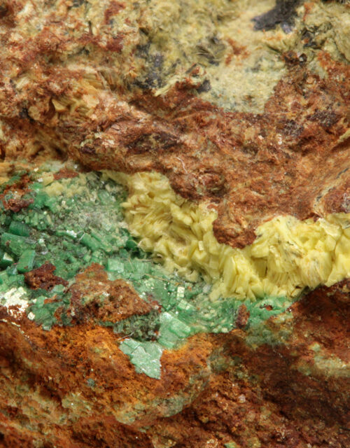 Trögerite, Metazeunerite: Walpurgis Flacher vein, Weißer Hirsch Mine, Neustädtel, Schneeberg, Erzgebirgskreis, Saxony, Germany