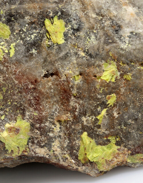 Metauranocircite: Bergen, Vogtlandkreis, Saxony, Germany