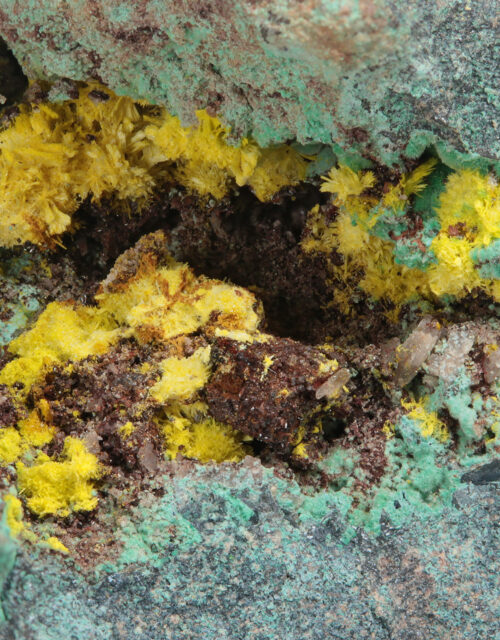 Schoepite, Rutherfordine, Malachite, Digenite: Musonoi Mine, Kolwezi, Mutshatsha, Lualaba, DR Congo