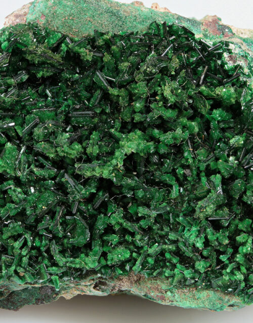 Metatorbernite: Musonoi Mine, Kolwezi, Mutshatsha, Lualaba, DR Congo