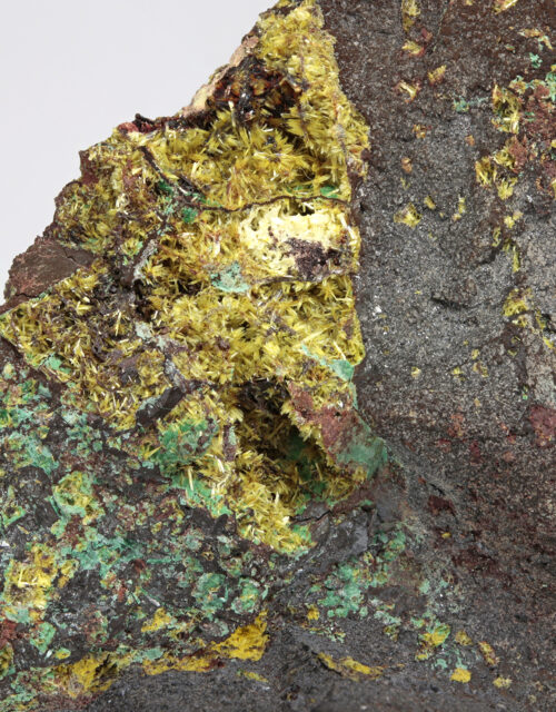 Uranophane, Malachite, Digenite: Musonoi Mine, Kolwezi, Mutshatsha, Lualaba, DR Congo