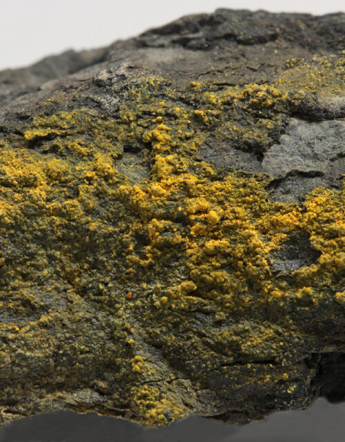 Uranopilite, Uraninite: Mas d'Alary opencast mine, Lodève, Hérault, Occitanie, France