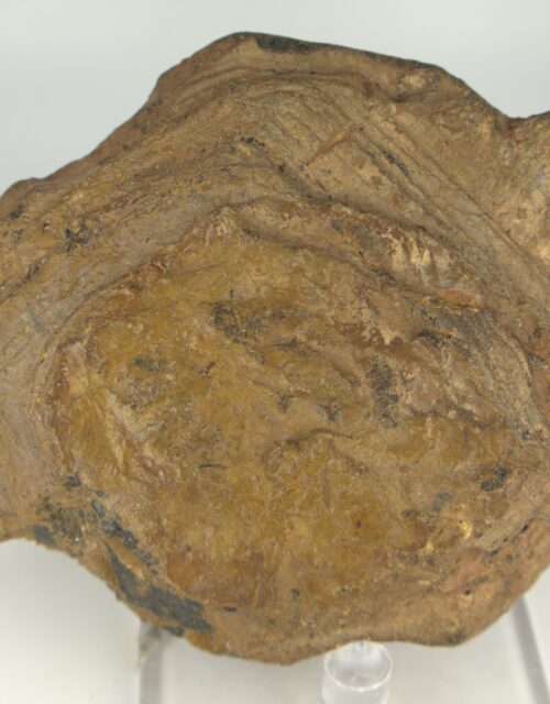 "Betafite" (Uranopyrochlore): Betafo District, Vakinankaratra, Madagascar
