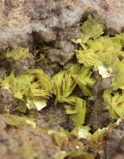 Uranocircite: Bergen, Vogtlandkreis, Saxony, Germany