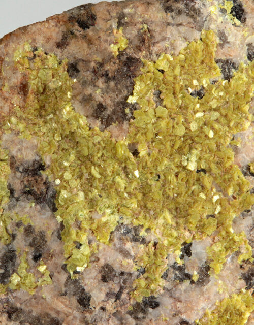 Meta-Autunite: Reckelmann quarry, Schwarzenberg, Erzgebirgskreis, Saxony, Germany