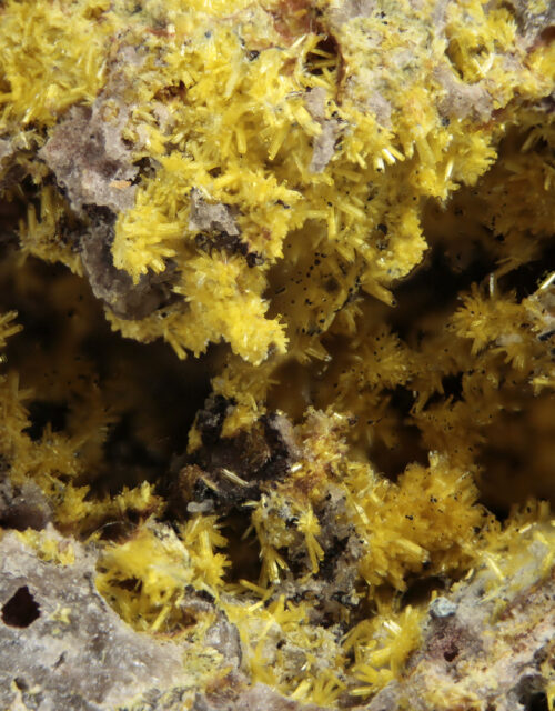 Sklodowskite: Musonoi Mine, Kolwezi, Mutshatsha, Lualaba, DR Congo