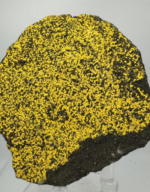 Zippeite: Section 35 Mine, Ambrosia Lake subdistrict, McKinley County, New Mexico