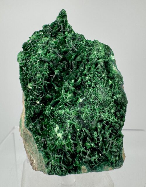 Metatorbernite: Musonoi Mine, Kolwezi, Mutshatsha, Lualaba, DR Congo