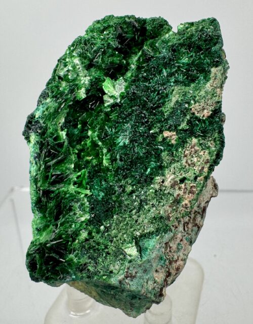 Metatorbernite: Musonoi Mine, Kolwezi, Mutshatsha, Lualaba, DR Congo