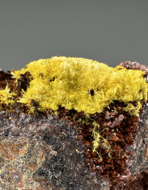 Uranophane: Krunkelbach Valley Uranium deposit, Menzenschwand, St Blasien, Waldshut, Freiburg Region, Baden-Württemberg, Germany