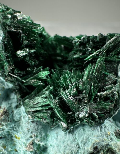 Metatyuyamunite, Malachite: Mashamba West Mine, Sicomines copper-cobalt project, Mutshatsha, Lualaba, DR Congo