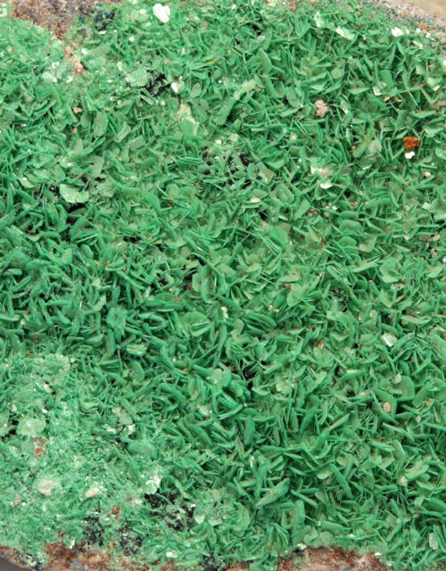 Metatorbernite: Candelaria Mine, Moctezuma, Moctezuma Municipality, Sonora, Mexico
