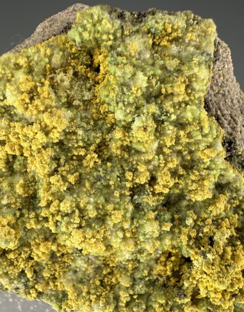 Bayleyite, Andersonite: Ambrosia Lake subdistrict, McKinley County, New Mexico, USA
