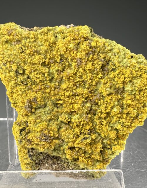 Bayleyite, Andersonite: Ambrosia Lake subdistrict, McKinley County, New Mexico, USA