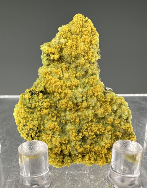 Bayleyite, Andersonite: Ambrosia Lake subdistrict, McKinley County, New Mexico, USA
