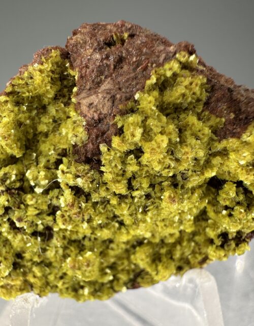 Autunite: Les Oudots quarry, Marly-sous-Issy, Charolles, Saône-et-Loire, Bourgogne-Franche-Comté, France