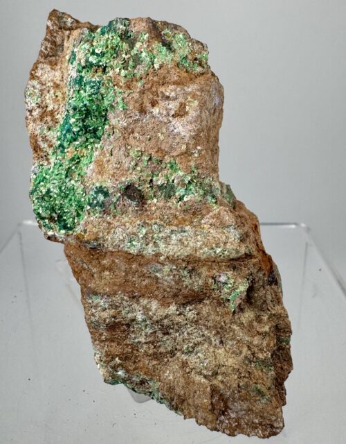 Torbernite: Alamos, Mun. de Alamos, Sonora State, Mexico
