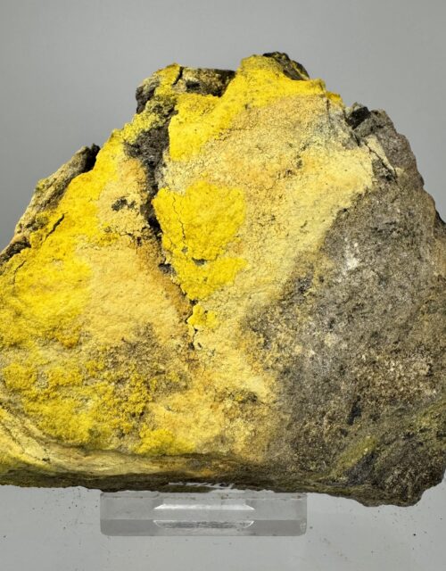 Uranopilite, Tyuyamunite, Uraninite: Atlas #9 mine, Tidwell Draw, San Rafael District, Emery Coul Utah USA