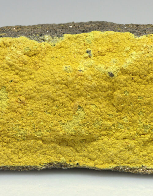 Tyuyamunite: Mi Vida Mine, Lisbon Valley Mining District, San Juan County, Utah, USA