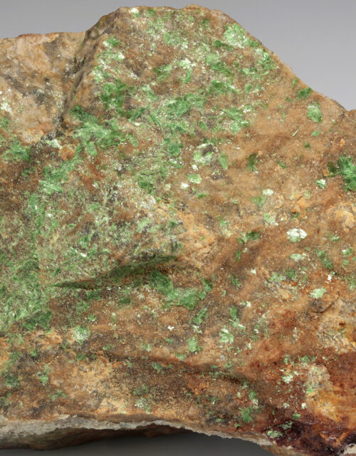 Metatorbernite: Philadelphia, Philadelphia County, Pennsylvania, USA