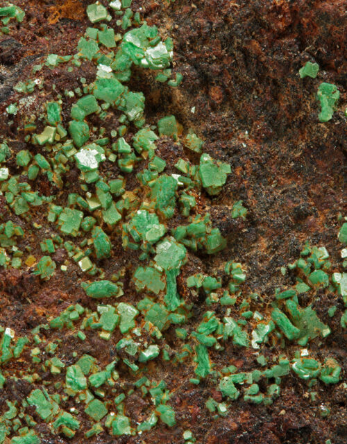 Torbernite: South Terras Mine, St Stephen-in- Brannel, Cornwall, England, UK