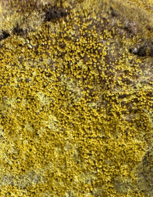 Weeksite: Yellow Cat Mining District, Grand County, Utah, USA
